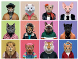 Cats™ Puzzles Cats™ Puzzles